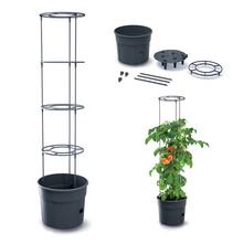 IPOM300 KVETINÁČ NA PESTOVANIE RAJČÍN ANTR.29,5XV115CM - Zahrada a hobby | FLORASYSTEM