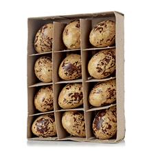 BOX PREPELIČIE VAJÍČKA 12,5*9,5*3CM S/12 - Plastové jednobarevné | FLORASYSTEM