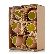 BOX HNEDÉ ŠKRUPINKY OTVORENÉ 14,5*10,5*6,5CM S/6 - Plastové jednobarevné | FLORASYSTEM