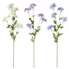 KS DELPHINIUM GRANDIFLORA 3F 82cm - Luční květy | FLORASYSTEM