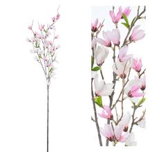 KONÁR GINSTER RUŽ. 89CM - Magnólia | FLORASYSTEM