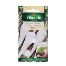 Petržel kořenová CUKROWA 300s - ostatné | FLORASYSTEM