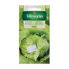 SALÁT LED. Laserna 0,5g - ostatné | FLORASYSTEM