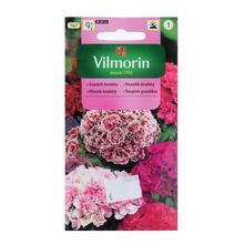 Hřebíčku bradatý PLNÝ 0,5g - ostatné | FLORASYSTEM