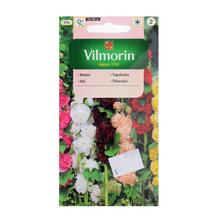 IBIS topolovka 1g - Květiny letničky | FLORASYSTEM