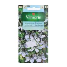 Černuchou VOJTĚŠKA 1g - Květiny letničky | FLORASYSTEM