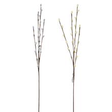 Kočičky 70CM KRÉM. - FLORASYSTEM