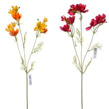 KOSMOS KS MIX 3F - Luční květy | FLORASYSTEM