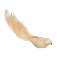 VTÁČIK ŠTIPEC ZAMATOVÝ BÉŽOVÝ PERIE 25*5*7,5CM - Klipy a kolíčky | FLORASYSTEM