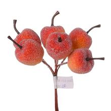 ZÁPICH JABĹČKA CUKROVÉ, ČER/ŽL 6KS 13CM - FLORASYSTEM