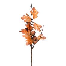 VETVIČKA ŽALUDE, LISTY, OR/HN 28CM - FLORASYSTEM