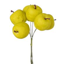 ZÁPICH JABĹČKA ZELENÉ /6 15CM - FLORASYSTEM