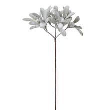 ZÁPICH IMELO,BIELE BOBULKY, ZASNEŽENÉ 28CM - Bobule bílé | FLORASYSTEM