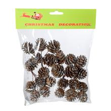 ŠIŠKY V SÁČKU S/24 STRIEBORNÉ - Plody vánoční | FLORASYSTEM