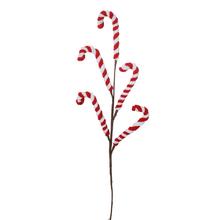 ZÁPICH VIAN. LÍZATKÁ BIE/ČER 48CM - FLORASYSTEM