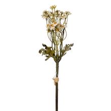 KYTICA TANACETUM KRÉMOVÉ 43CM - Umělé květiny pěnové | FLORASYSTEM