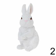 Biele zajačiky rôznych pozícií.