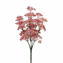 ZÁPICH TRACHELIUM RUŽOVÉ 30CM - FLORASYSTEM