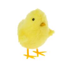 KURIATKO ŽLTÉ 9CM - FLORASYSTEM