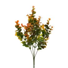 ZÁPICH EUCALYPTUS ORANŽOVÝ 32CM - List | FLORASYSTEM