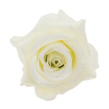 HLAVA RUŽA 10CM BAL.12KS KRÉM - Růže | FLORASYSTEM