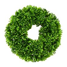 VENIEC SUKULENT KVET ZELENÝ 28CM - FLORASYSTEM