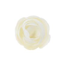 HLAVA RANUNKULUS 4CM BAL.12KS BIELA - Pryskyřník | FLORASYSTEM