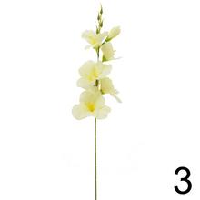 Umelé kvety gladiola v bielo-krémovo-marhulovom mixe.