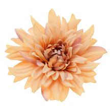 HLAVA DAHLIA 4CM BAL.12KS ORANŽOVÁ BLEDÁ - FLORASYSTEM