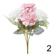 Kytica pivónie s rôznymi farbami a zelenými listami.