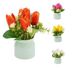 TULIPÁNY V ČREPNÍKU MIX/4F 17CM - Tulipán | FLORASYSTEM