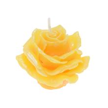 RUŽA ELIZABETH MALÁ ŽLTÁ 7x5 - FLORASYSTEM