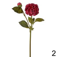 DAHLIA 3F 46cm - Foto1