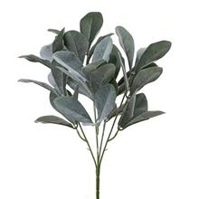 ZELEŇ LISTY OVÁLNE SIVO-ZELENÉ 36CM - List | FLORASYSTEM