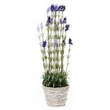 LEVANDULA V RATAN, KVETINÁČI(22*16CM) x23 78CM  - FLORASYSTEM