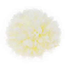 HLAVA CHRYZANTÉMA 10 CM BAL.12KS KRÉMOVÁ  - Chryzantéma, jiřina | FLORASYSTEM