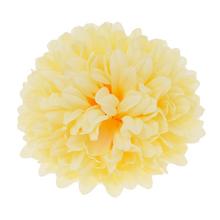 HLAVA CHRYZANTÉMA 10 CM BAL.12KS BLEDO-ŽLTÁ - Chryzantéma, jiřina | FLORASYSTEM