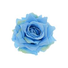 HLAVA BL.MODRÁ RŮŽE - Růže | FLORASYSTEM