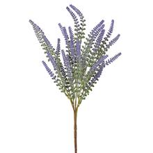 ZELEŇ ERIKA FIALOVÁ 42CM - FLORASYSTEM