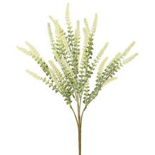 ZELEŇ ERIKA BIELA 42CM - Zápich bílý / žlutý | FLORASYSTEM