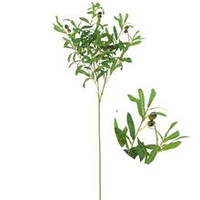 KONÁR OLIVA ZELENÝ, OLIVY 92CM - Větev | FLORASYSTEM