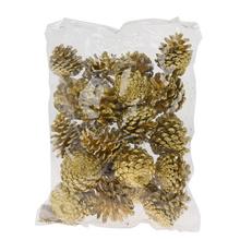 Blue Pine /gold/ 500g -susz/I819_20 - Foto1