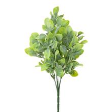 ZELEŇ LÍSTKY ZELENÉ 27CM - List | FLORASYSTEM