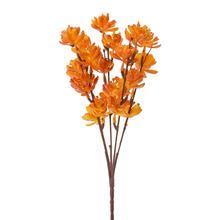 ZELEŇ SUKULENT ORANŽOVÁ 30CM - Zápich oranžový / červený / hnedý | FLORASYSTEM