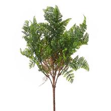 ZELEŇ PAPRAĎ ZELENÁ 42CM - List | FLORASYSTEM