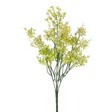 ZELEŇ WAXFLOWER BIELY 44CM - Zápich bílý / žlutý | FLORASYSTEM