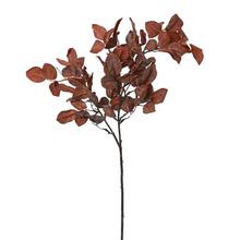 KS ZELEŇ HNEDÉ LÍSTIE 82CM - FLORASYSTEM