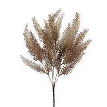 ZELEŇ ASPARÁT HNEDÝ 37CM - FLORASYSTEM