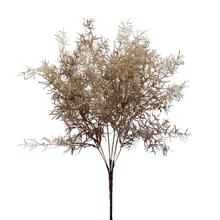 ZELEŇ ASPARÁT HNEDÝ 56CM - FLORASYSTEM