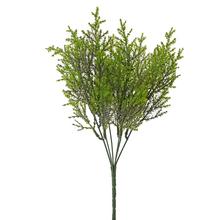 ZELEŇ TUJA ZELENÁ 32CM - Zápich zeleň | FLORASYSTEM